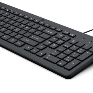 Kit teclado + mouse raton hp 150 cable